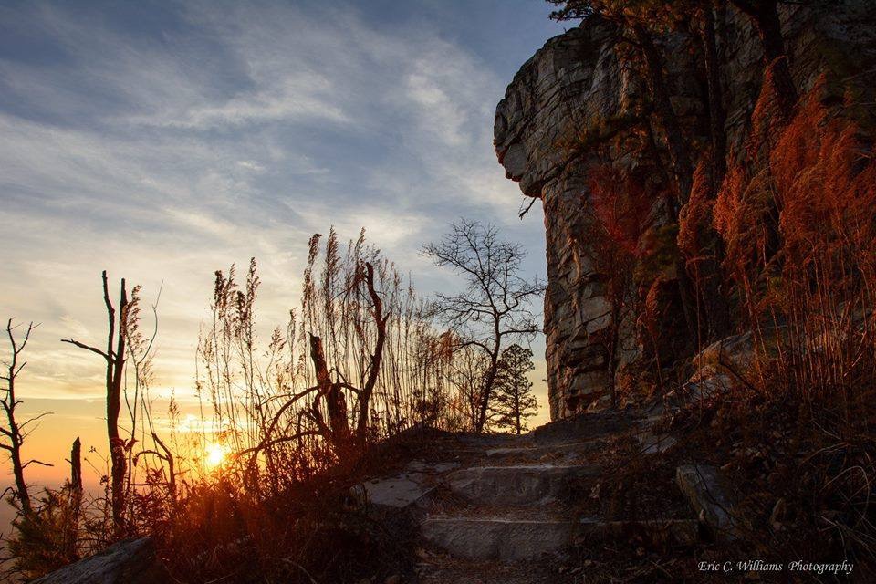 Pilot Mountain Ledge Trail. Photo by Eric Williams.