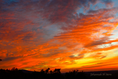 1_Saura-Sunset-II