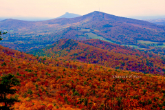 Autumn-colors-From-HARO-looking-to-PIMO
