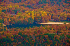 Autumn-on-the-Lake-from-the-Tower-HARO