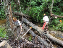 FSM-Trail-Crew-clearing-a-Trail