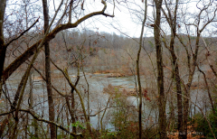 Ivy Bluff Tail - Yadkin River. Photo by Johannah H. Stern.