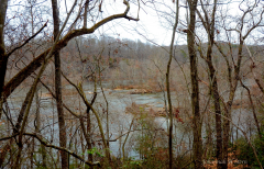 Ivy-Bluff-Tail-Yadking-River-PIMO