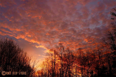 Saura Sky