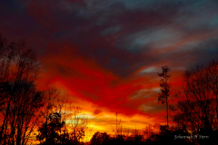 Saura sunset - johannah