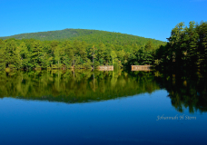The Lake at the Park - HARO