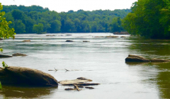 Yadkin River - PIMO
