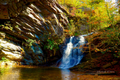 cropped-Lower-Cascade-Fall-HARO